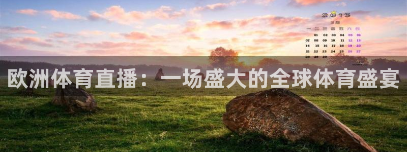 欧洲体育直播：一场盛大的全球体育盛宴