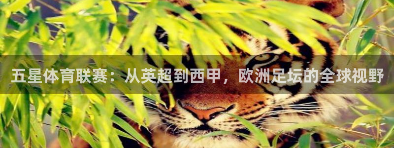 五星体育联赛：从英超到西甲，欧洲足坛的全球视野