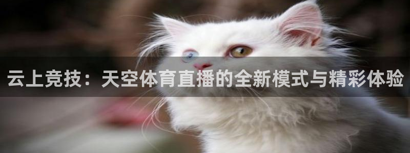 云上竞技：天空体育直播的全新模式与精彩体验