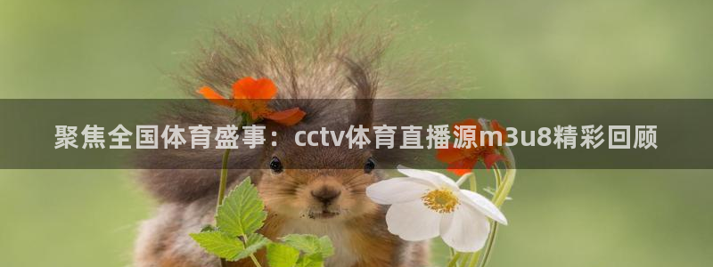 聚焦全国体育盛事：cctv体育直播源m3u8精彩回顾