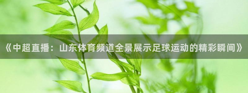 《中超直播：山东体育频道全景展示足球运动的精彩瞬间》