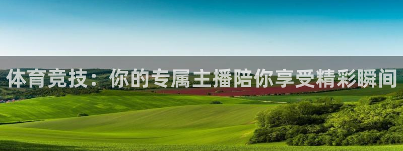 体育竞技：你的专属主播陪你享受精彩瞬间