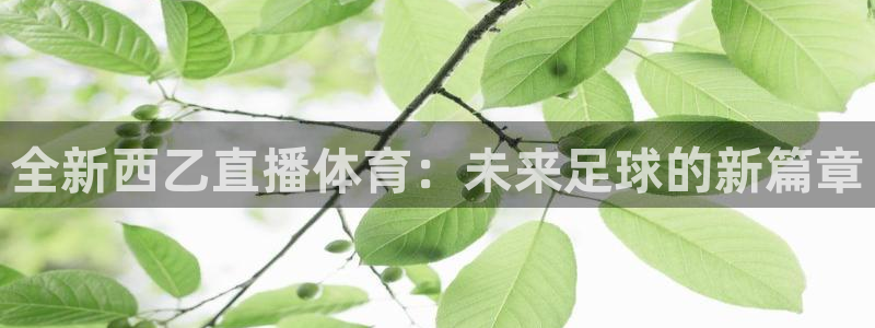 全新西乙直播体育：未来足球的新篇章