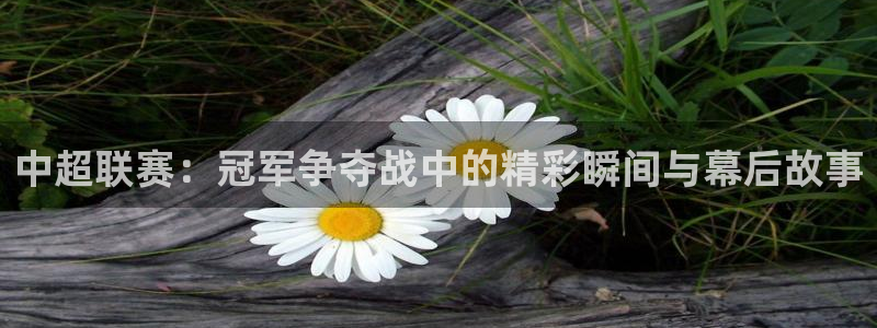 中超联赛：冠军争夺战中的精彩瞬间与幕后故事