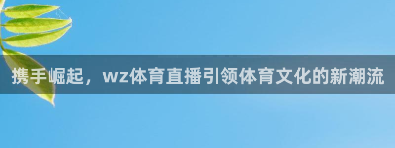 携手崛起，wz体育直播引领体育文化的新潮流