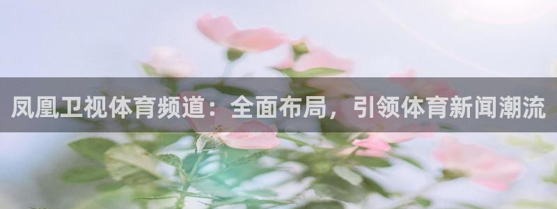 凤凰卫视体育频道：全面布局，引领体育新闻潮流