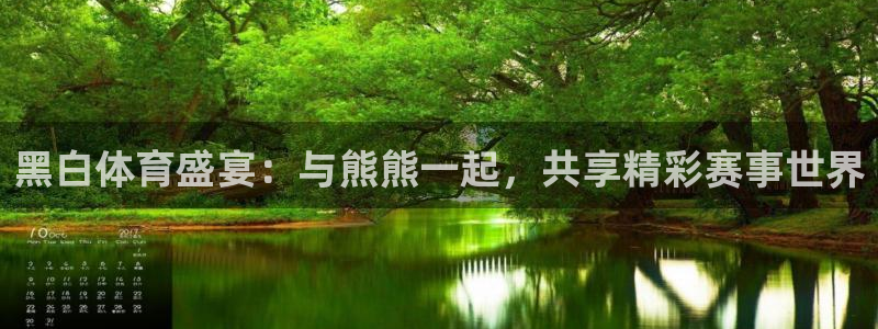 黑白体育盛宴：与熊熊一起，共享精彩赛事世界