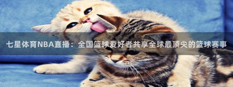 七星体育NBA直播：全国篮球爱好者共享全球最顶尖的篮球赛事