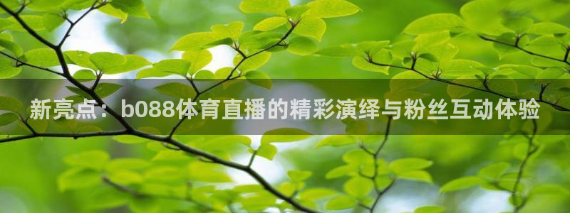 新亮点：b088体育直播的精彩演绎与粉丝互动体验