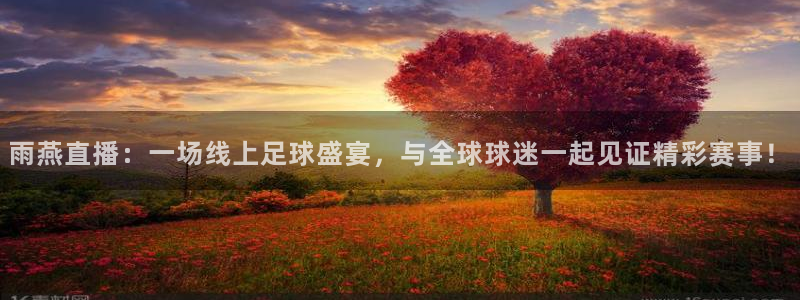 雨燕直播：一场线上足球盛宴，与全球球迷一起见证精彩赛事！
