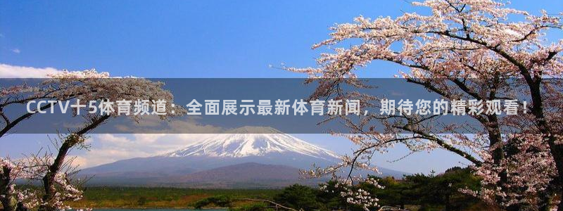 CCTV十5体育频道：全面展示最新体育新闻，期待您的精彩观看！